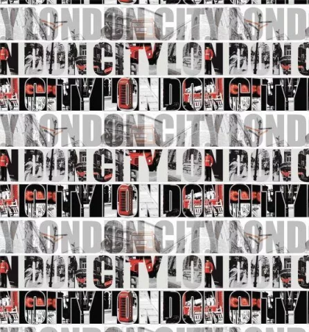 627-74 Dušas aizkari LONDON CITY 180x200cm ar 12 riņķiem