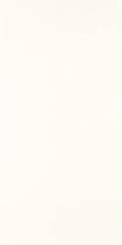 Wall tiles white 30x60 matte (0.90m2)