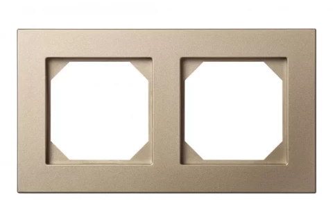 LIREGUS EPSILON champagne  frame 2-way