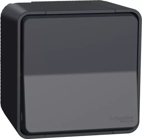 Переключатель 1P 10A IP55 антрацит Mureva