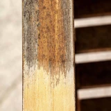 Cylinder-shaped abrasive nylon brush MRS1300 Scheppach 7903800715