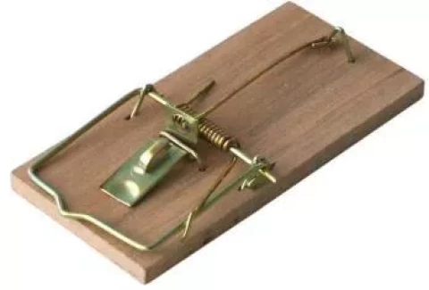 Bros mousetrap wood