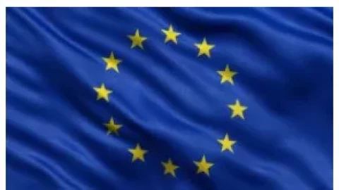 Eiropas Savienības karogs 100x200cm kātam