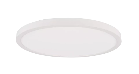 Ceiling lamp LED 30W 3200lm 3000K 4000K 6500K D300mm x 25mm IP40