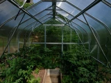 Greenhouse KLASIKA STANDART 10 - 2,5x4m with foundations and 4mm polycarbonate coating