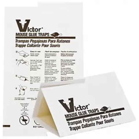 Victor līmlente pret pelēm