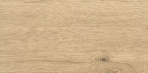 Flīzes Birch Whisper 29.8x59.8 beige matt (1.25m2/7gab.) R9