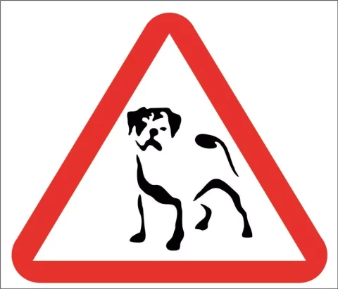 Sticker ''Dog on board'' H 12cm