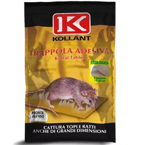 Kolrat līmslazds grauzēju izķeršanai