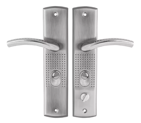 Rokturis Frida sudrabs labais virziens