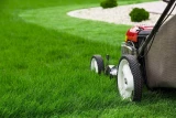 A lawn seed mixture M1- PARTER 1kg
