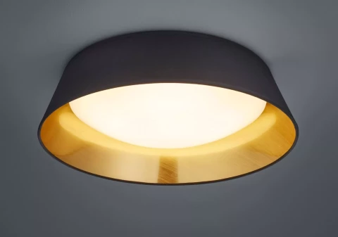 REALITY Griestu lampa PONTS LED 18W 1700lm melns R62871879