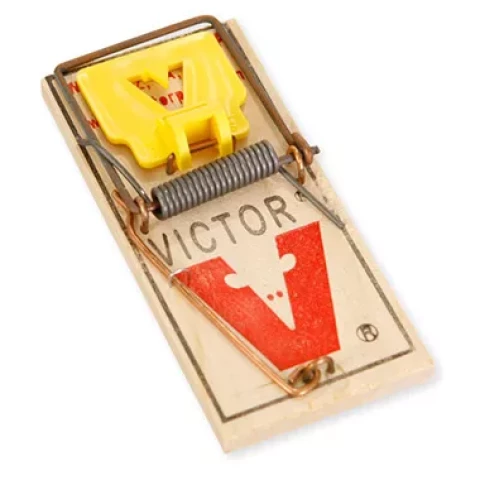 Victor peļu slazds  koka