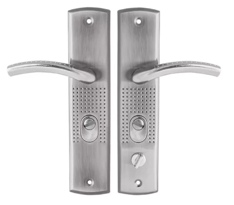 Rokturis Frida sudrabs kreisais virziens