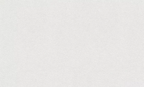 Krāsojamās tapetes Opus 172409 25mx1,06