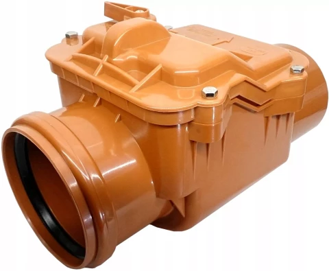 check valve D110