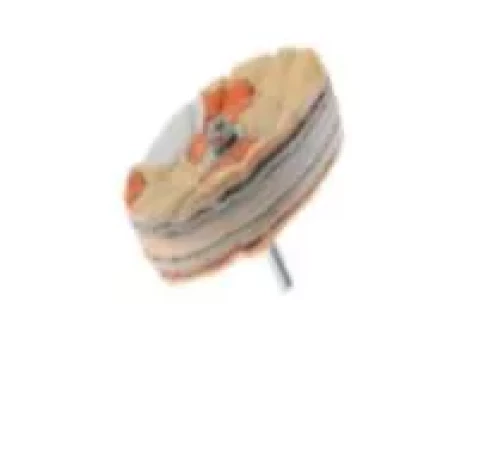 Cotton polishing disc with holder (11604)