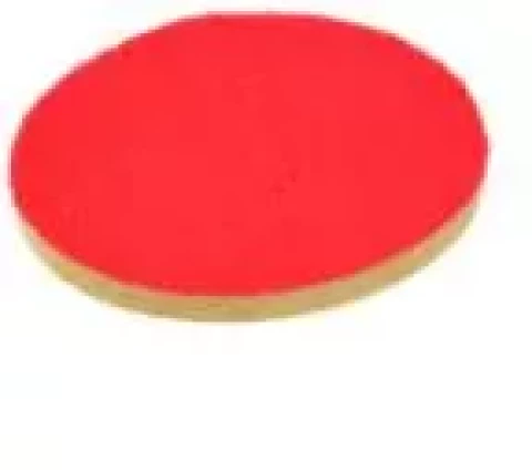 Slīpēšanas, pulēšanas disks 125*10mm (100319)