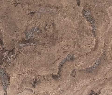 Rasch обои 514629 Черный лес 10,05 м х 0,53 м