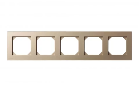 LIREGUS EPSILON champagne  frame 5-way