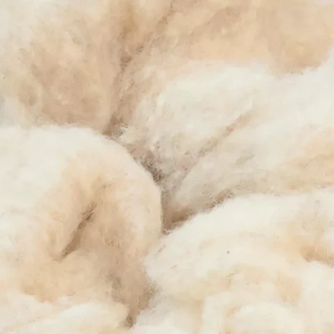 Vaļēja aitas vilna Wolle 5kg,100% vilna ar IONIC PROTECT ®