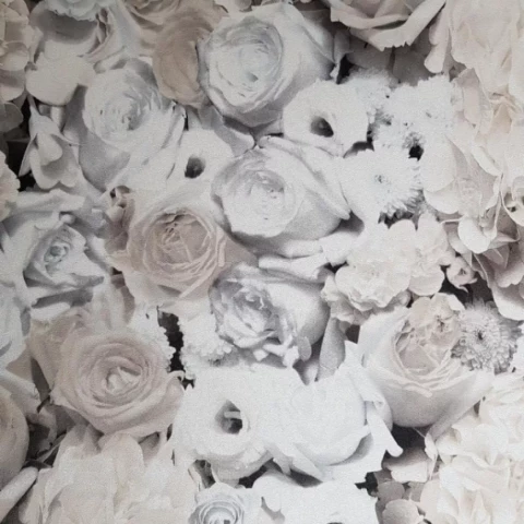 Tapetes AS TP Marriage 1.06*10m 38046-3