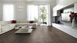 SPC vinila grīdas segums Holm oak AC4/32KL. 173x1290x4mm (2.901m2) 48341 CLASSEN