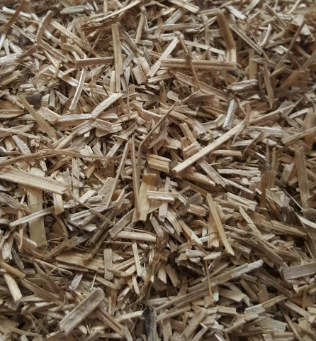Kaņepju spaļi 20kg