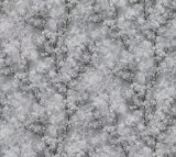 Wallpapers AS Creation 37542-1 1.06x10m Sakura flowers