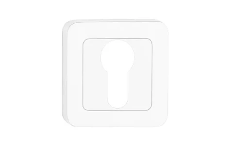 Uzlika PZ uz kvadrāta rozetes  sudrabs