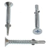 Screw with Drill 4.8x38 (500) Zn