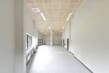 Acoustic ceiling board CEWOOD (fibrolite) in natural tone T24 595x595x15