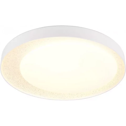 Plafonlampa griestu LED SMD 24W 2500lm 2700-6500K ar pulti DIM Trio ALETA R64611101