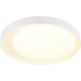 Plafonlampa griestu LED SMD 24W 2500lm 2700-6500K ar pulti DIM Trio ALETA R64611101