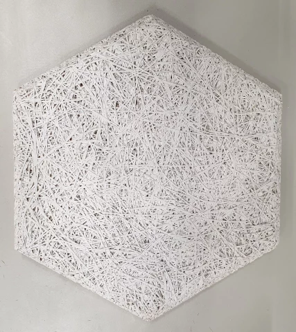 DIZAINA PLĀKSNE 289X250X25MM,1MM SKAIDA,P7,BALTS