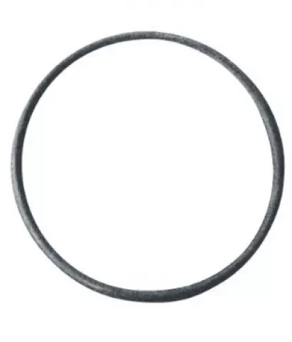 Gumijas blīve H10G,H101  890x35mm