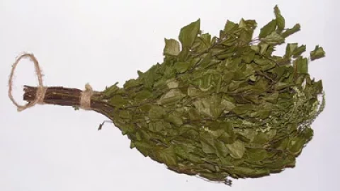 Pirtsslota Ozols sarkanais+Eikalipta