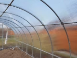 Теплица KLASIKA TUBE 3x6m (18m2) с фундаментом и покрытием из поликарбоната 4мм