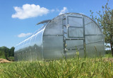 Greenhouse BALTIC LT 3x8m with 4mm polycarbonate cover