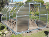 Greenhouse KLASIKA 24 (3x8m) with bases and 4mm polycarbonate