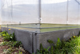 Greenhouses KLASIKA TUBE 3x4m (12m2) with foundation and 4mm polycarbonate coating