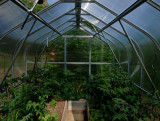 Greenhouse KLASIKA STANDART 20 - 2,5x8m with foundations and 4mm polycarbonate coating