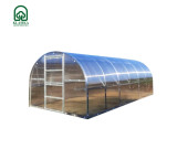 Greenhouse BALTIC LT 3x6m with 4mm polycarbonate coating